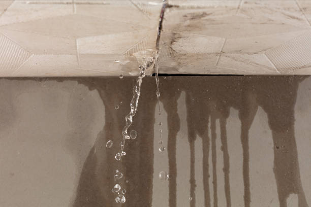 Professional Structural Drying technician working in Bellflower, MO